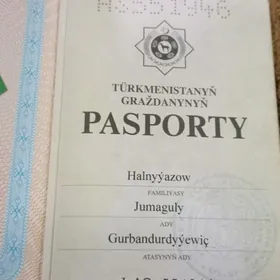 ýasyl gapjyk ýitdi