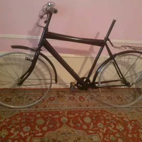 ²⁶ yaponiski veli