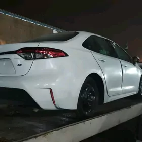 Toyota Corolla 2024