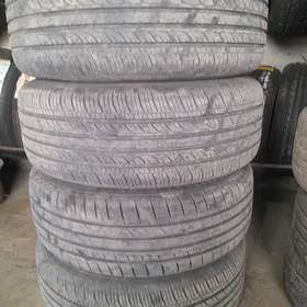 16 limited 2 disga teker