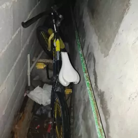 12 13 ýaşly çaga tigir