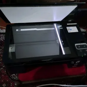 Printer Epson