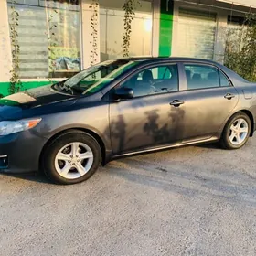 Toyota Corolla 2009