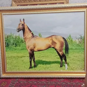 partret atrebut we at