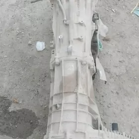 folusfagen tuarek2014 karopka