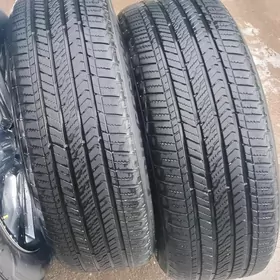 245-60-18 hablit 2023