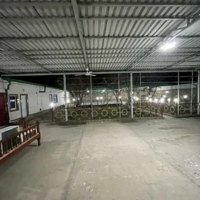 Дом Багир Dashgala