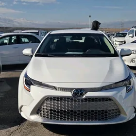 Toyota Corolla 2022