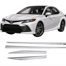 CAMRY GAPY NIKIL MOLDING