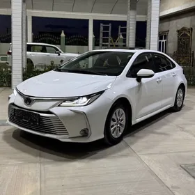 Toyota Corolla 2023