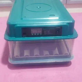Inkubator 30 ýumurtgalyk