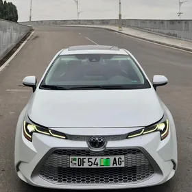Toyota Corolla 2023