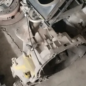 99 10 15 karopga zapjaslar ors