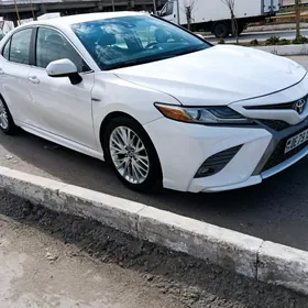 Toyota Camry 2020