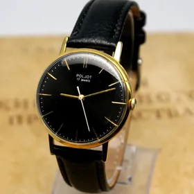 Paljot 17jewels Au20