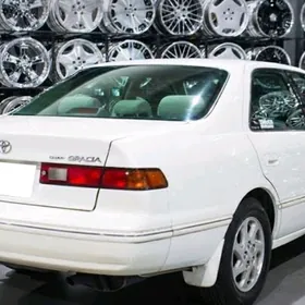 haliji lisicka molding