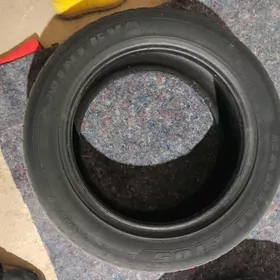 Radial tigir 17/225/55