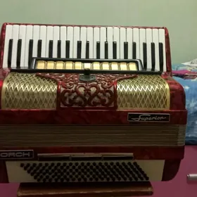 Аккордеон/Akkordeon