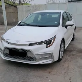 Toyota Corolla 2022