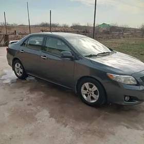 Toyota Corolla 2010