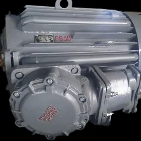 elektro dwigatel mator nasos