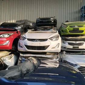 Zakaz dubai awto śaylary