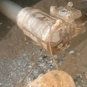 turos asma kyran lipýonga