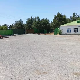 Yer onumçuluk uçin