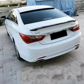 Sonata 10-13 lobowoi kozyryok