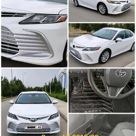 Toyota Camry 2019