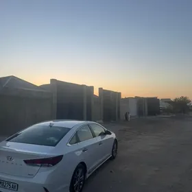 Satlyk Coganly 6_Sotuk