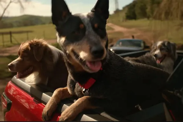 В Австралии потребовали у Toyota изменить рекламу Hilux из-за сцен с собаками