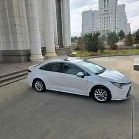Toyota Corolla 2021