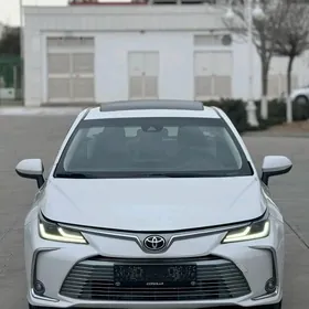 Toyota Corolla 2021
