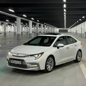 Toyota Corolla 2020