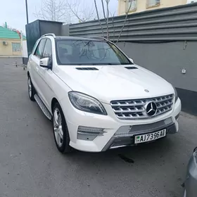 Mercedes-Benz ML350 2014