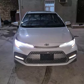 Toyota Corolla 2021