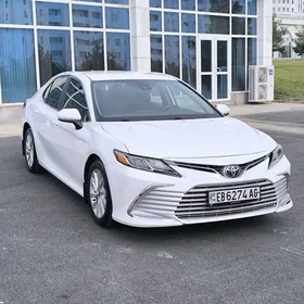 Toyota Camry 2021