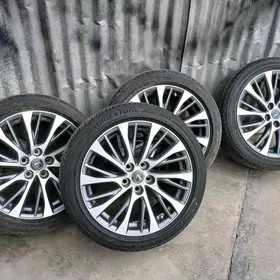 arginal dis pakrisga