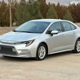 Toyota Corolla 2021