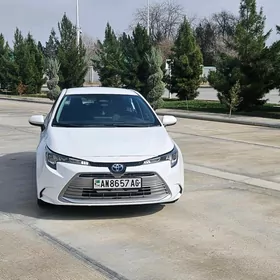 Toyota Corolla 2024