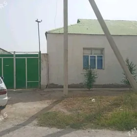 coganly plan jay 12 sotak