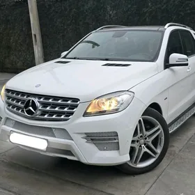 Мерседес айналары