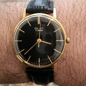 Paljot 17jewels Au20