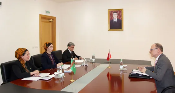 Türkmenistanyň daşary işler ministriniň orunbasary Şweýsariýanyň ilçisi bilen duşuşdy