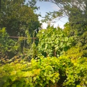 Anew katez 8 sotok 5 kom