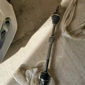 Gyranat hunday elantyran