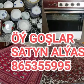 SATYN HALY PALAS ALYAS