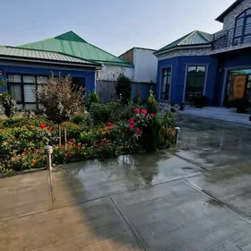 Anew Amatly jaÿ Mansardaly