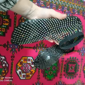 сетичный басаножка